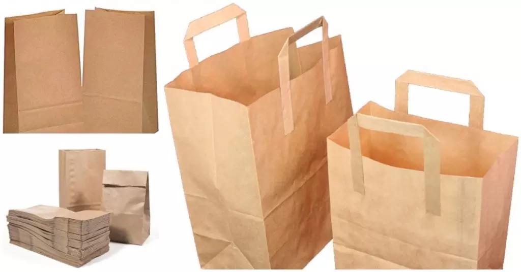 Les sacs en papier sont 100% biodégradables