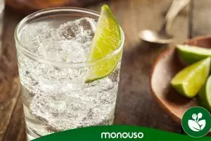 Les meilleurs coupes à Gin Tonic en plastique